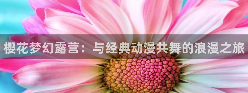 omofun动漫官方官网：樱花梦幻露营：与经典动漫共舞的浪漫之旅
