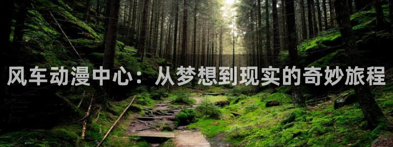 omofun动漫正版：风车动漫中心：从梦想到现实的奇妙旅程