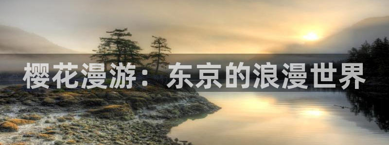 omofun动漫官方下载：樱花漫游：东京的浪漫世界