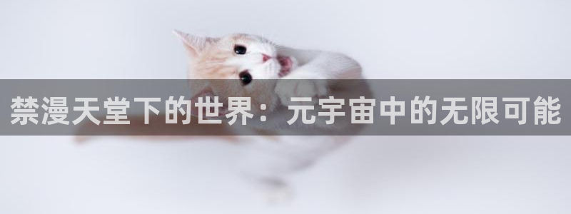 韩漫漫画正版入口：禁漫天堂下的世界：元宇宙中的无限可能