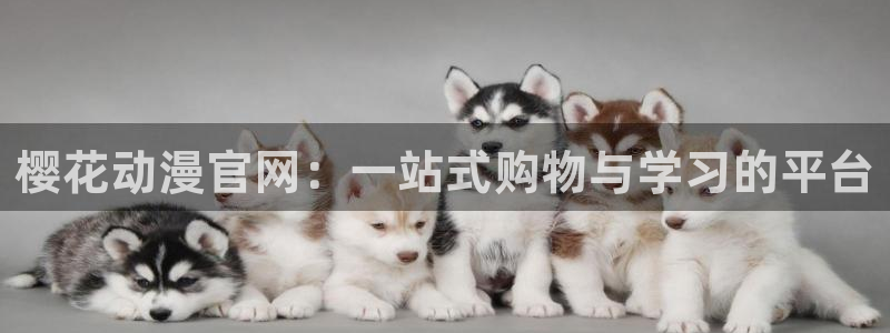omofun电脑版：樱花动漫官网：一站式购物与学习的平台