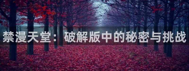 omofun最新下载：禁漫天堂：破解版中的秘密与挑战