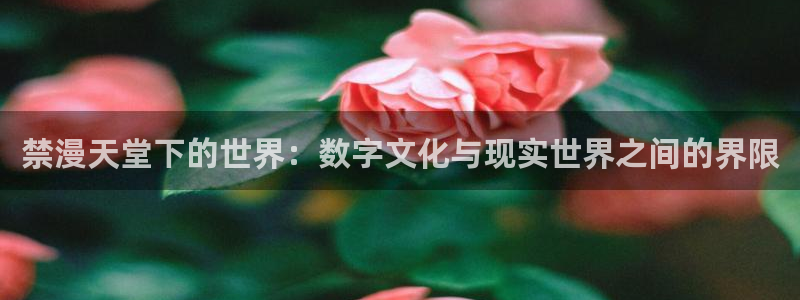 omofun苹果自签：禁漫天堂下的世界：数字文化与现实世界之间的界限