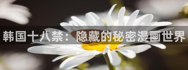 omofun 宕卧略：韩国十八禁：隐藏的秘密漫画世界