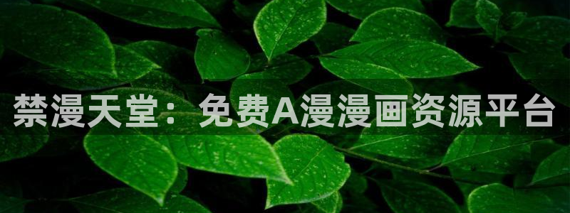 omofun老版本：禁漫天堂：免费A漫漫画资源平台