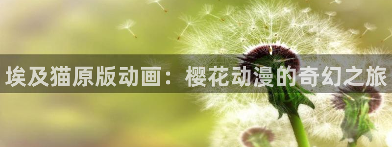 omofun下载官网：埃及猫原版动画：樱花动漫的奇幻之旅