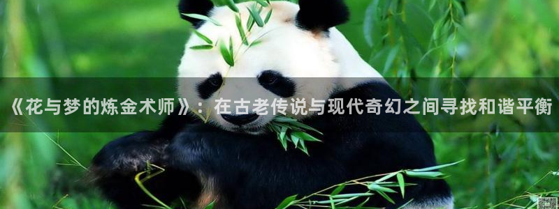 韩漫漫画正版入口下载：《花与梦的炼金术师》：在古老传说与现代奇幻之间寻找和谐平衡