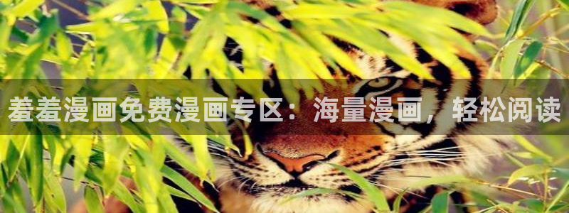 韩漫漫画入口下载：羞羞漫画免费漫画专区：海量漫画，轻松阅读