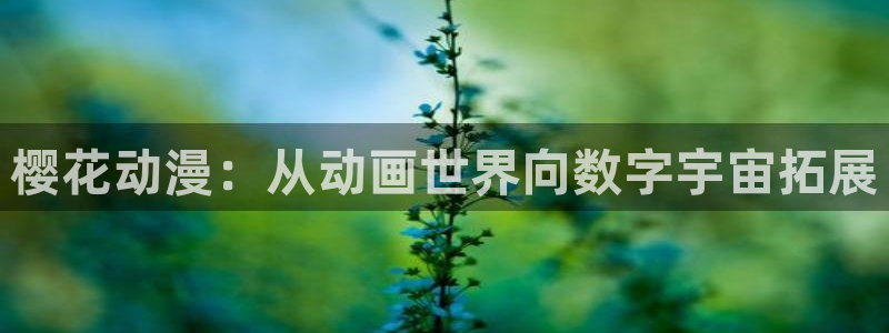 omofun.in：樱花动漫：从动画世界向数字宇宙拓展