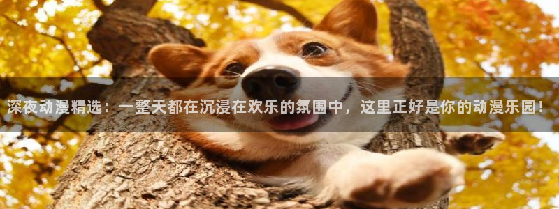 下载omofun动漫：深夜动漫精选：一整天都在沉浸在欢乐的氛围中，这里正好是你的动漫乐园！